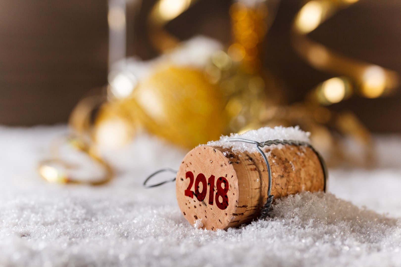Nieuwjaarsbijeenkomst op 16 januari