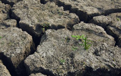 24 november: 4PM-lezing over droogte