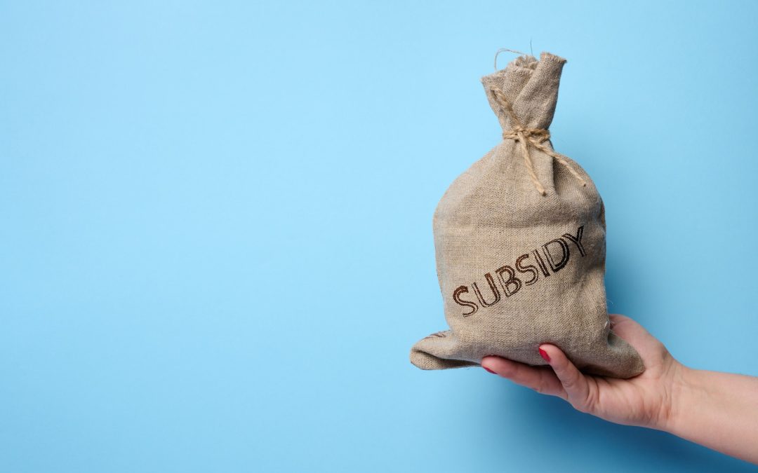 A female hand holds a burlap sack with the inscription subsidy on a blue background
